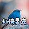 仙侠剧之灵宠