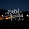 我为爱情掉过几滴泪（抖音热播版）