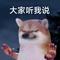 不好意思打扰一下（今天想给大家介绍我的老大）
