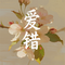 爱错（抒情版）
