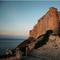稻田