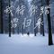 我待你踏雪归来