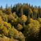 变废为宝