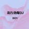 抖音热歌DJ
