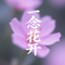 一念花开