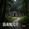 我魂魄几斤（Cover 王亮）