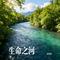生命之河