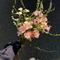 七零后(Cover 刘艺雯)