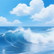王牌飞行员申请出战