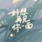 好想再见你一面