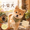 小柴犬