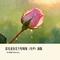 你究竟有几个好妹妹（女声）新版
