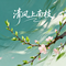 清风上南枝