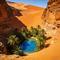 招惹