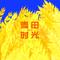 较量