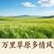 万里草原多情风