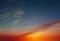空庭待春