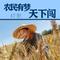 农民有梦天下闯