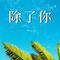 除了你（Cover 韩宝仪）