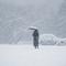 风雪