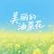 美丽的油菜花