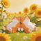 鞋落风波