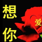 辛酸苦辣丰富多彩唱人生