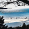 野花香 (DJ版)