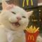 猛毒注意哈基米