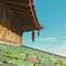 屋檐下