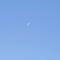 他为装穷而上班