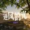 逆风的光（Cover 詹振威）