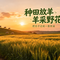 种田放羊采野花