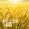 稻香纯音乐