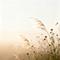 齐旦布-娥嫚（Cover 齐旦布）