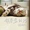 邻居家的猫
