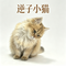 逆子小猫
