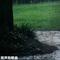 雨声助眠曲