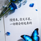 渡我不渡她