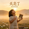 一个真实的故事（Cover 朱哲琴）