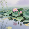 无垠荒岛