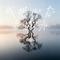 我把心态当风水（Cover 王一佳）