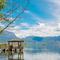 乡野