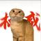 青衣 (哈基米)