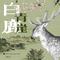 白鹿青崖