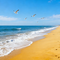 岁月苦涩如歌
