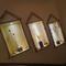 我的室友