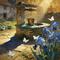 无人区玫瑰