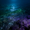夜色深海