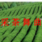 采茶舞曲-电子琴（电子琴原版音乐 Remix）